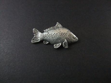 Spiegelkarper vissoort zilverkleurig